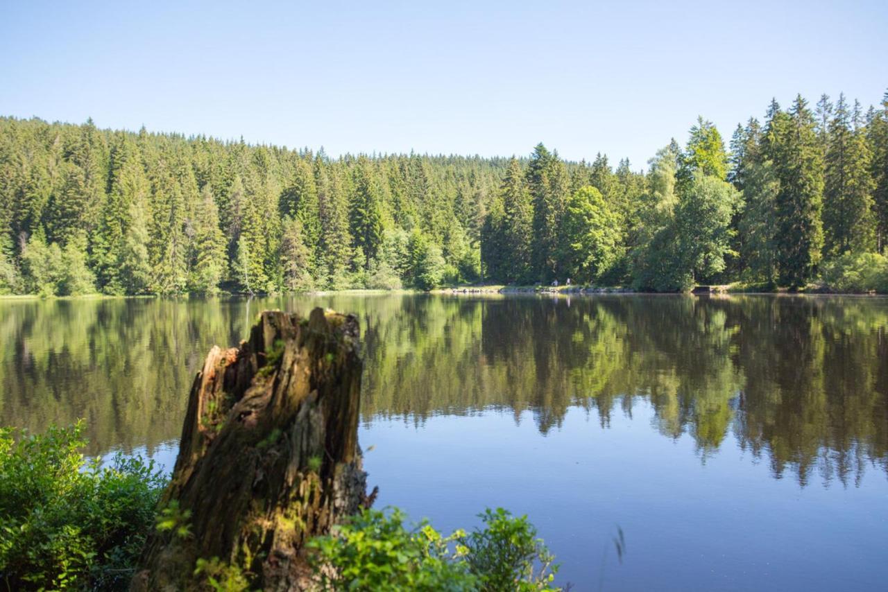 Ferienhaus Voelkle Hinterzarten Kültér fotó