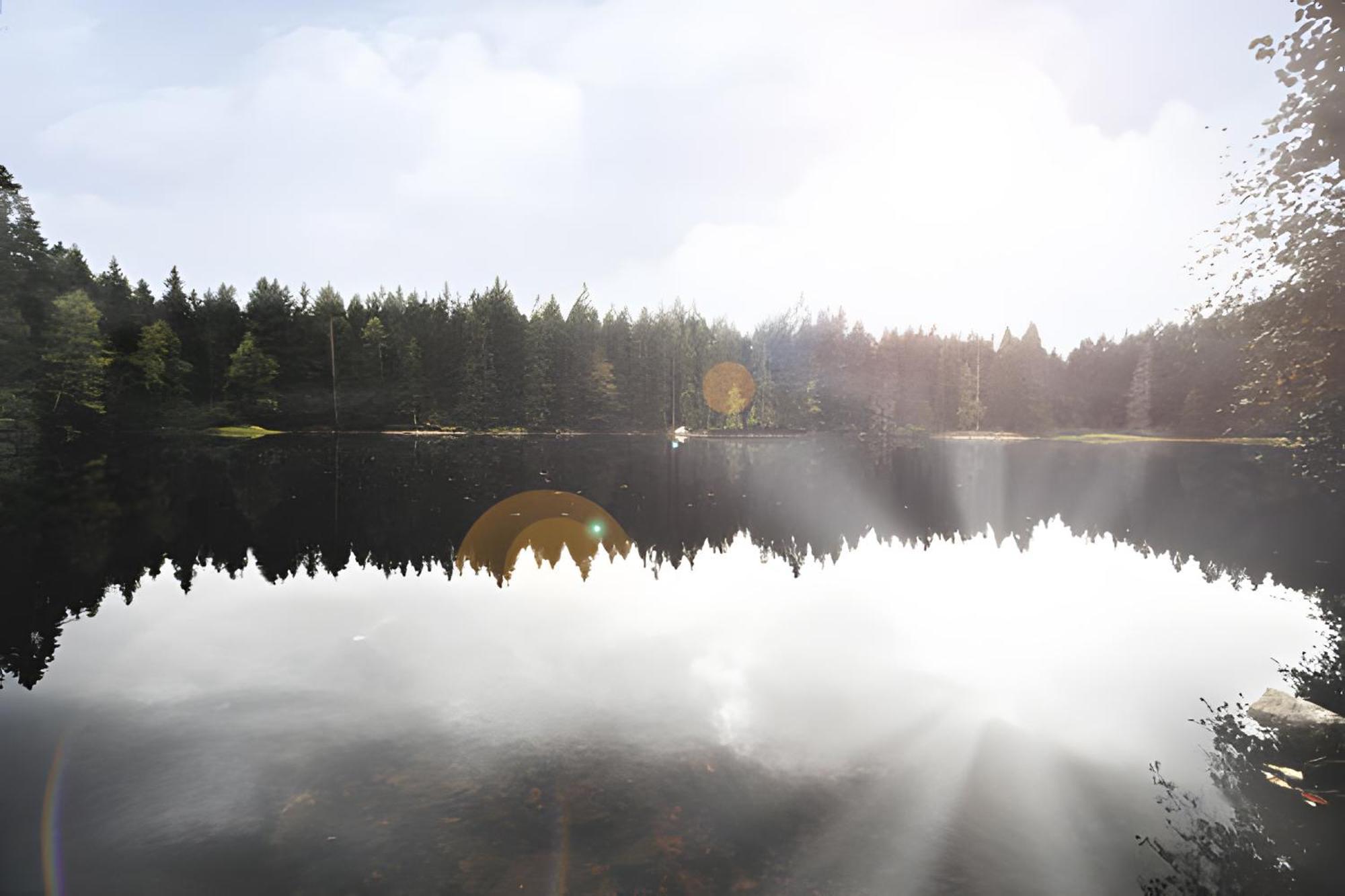 Ferienhaus Voelkle Hinterzarten Kültér fotó
