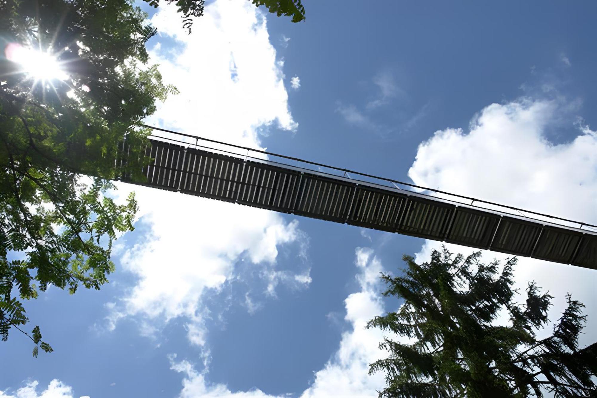 Ferienhaus Voelkle Hinterzarten Kültér fotó
